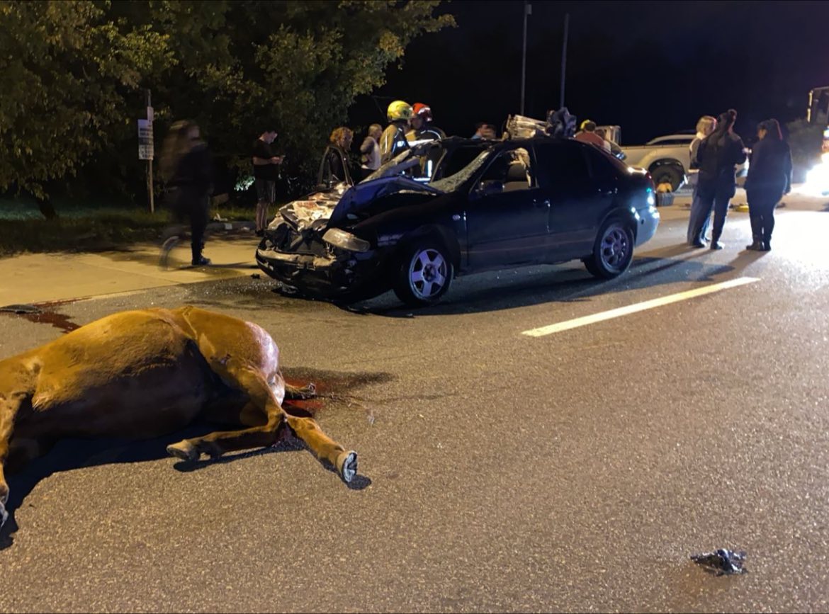 490497893 1038469265000417 7524939867833639047 n