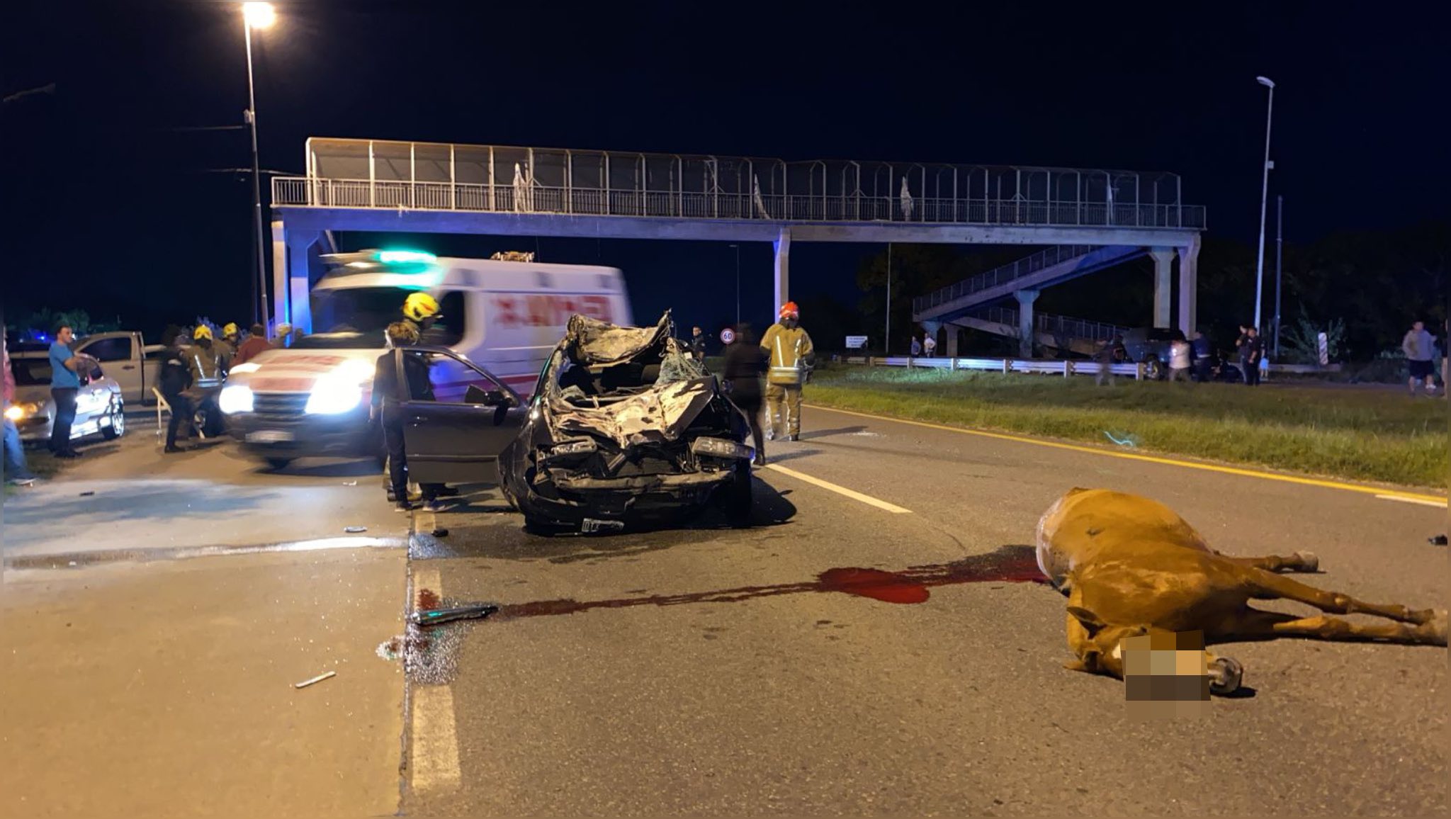 490764016 1038469888333688 3842192194234135729 n 1