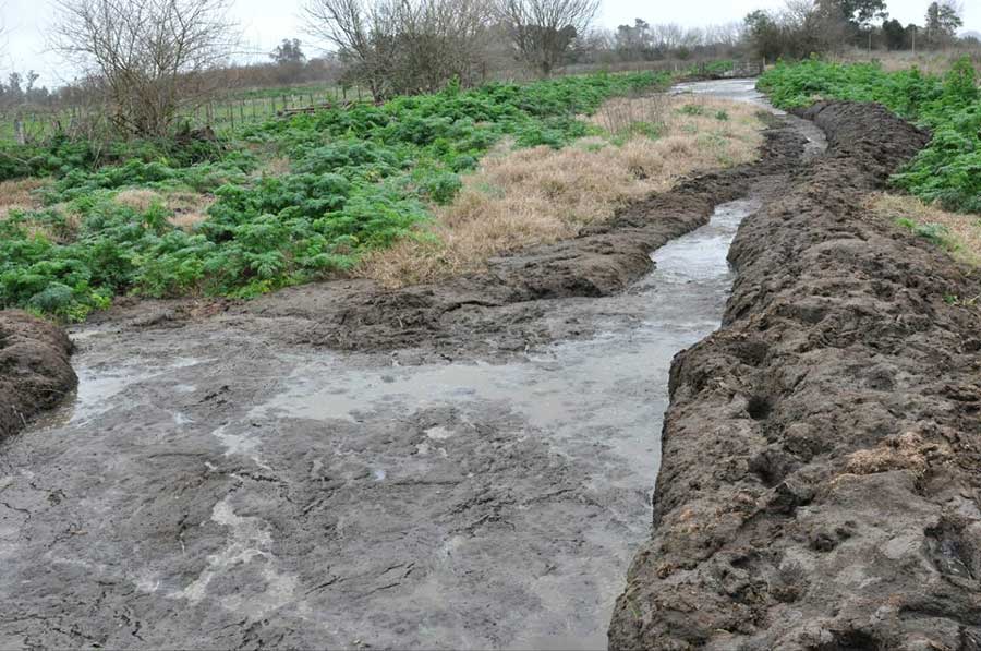 20638717 1835159473165507 5380769117863862276 n