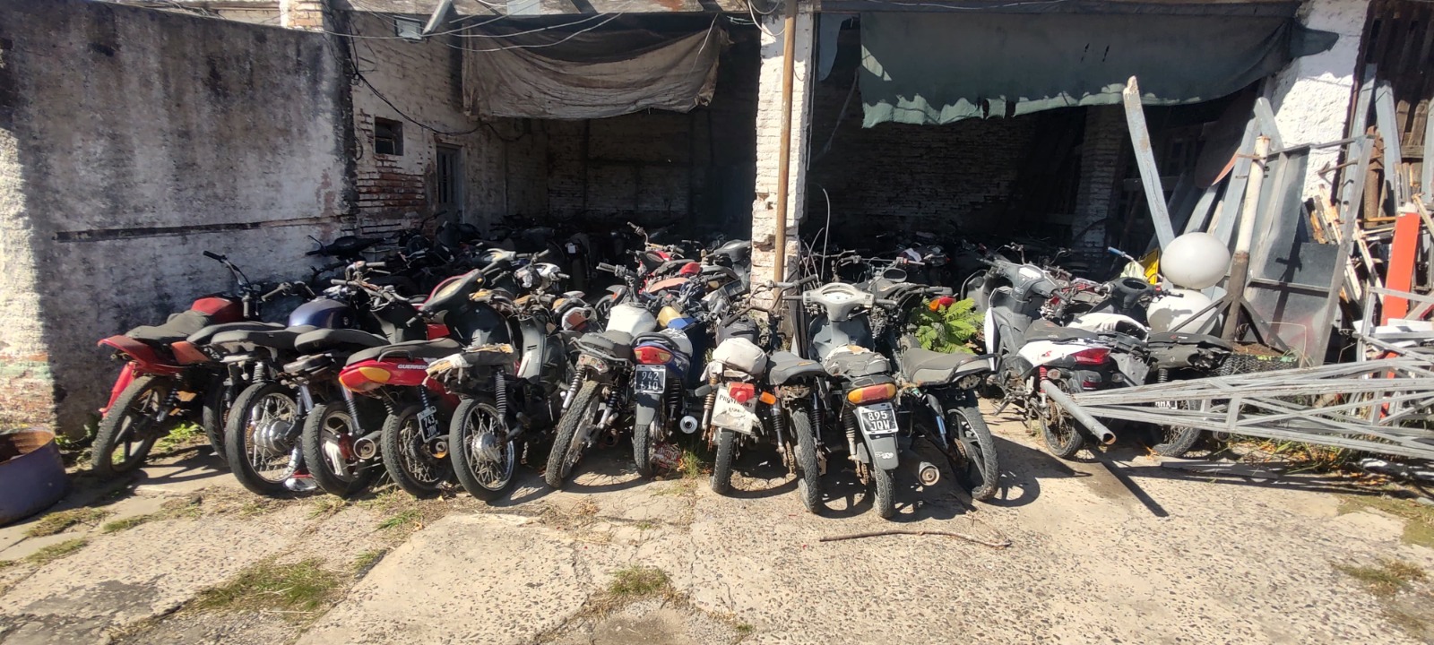 WhatsApp Image 2025 04 30 at 11.11.15 AM