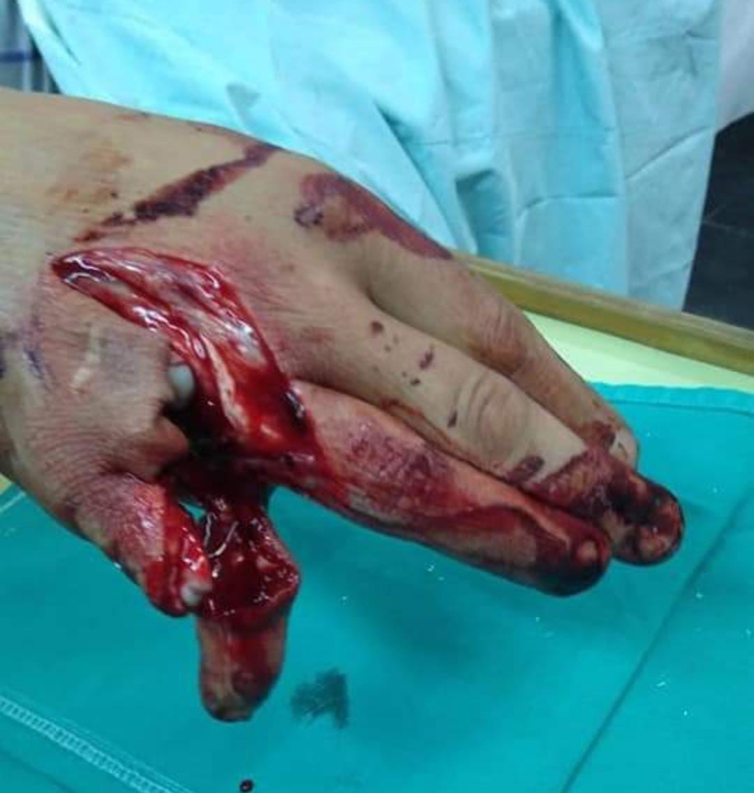 babe505f 9920 4f44 a822 f7456ce068e3