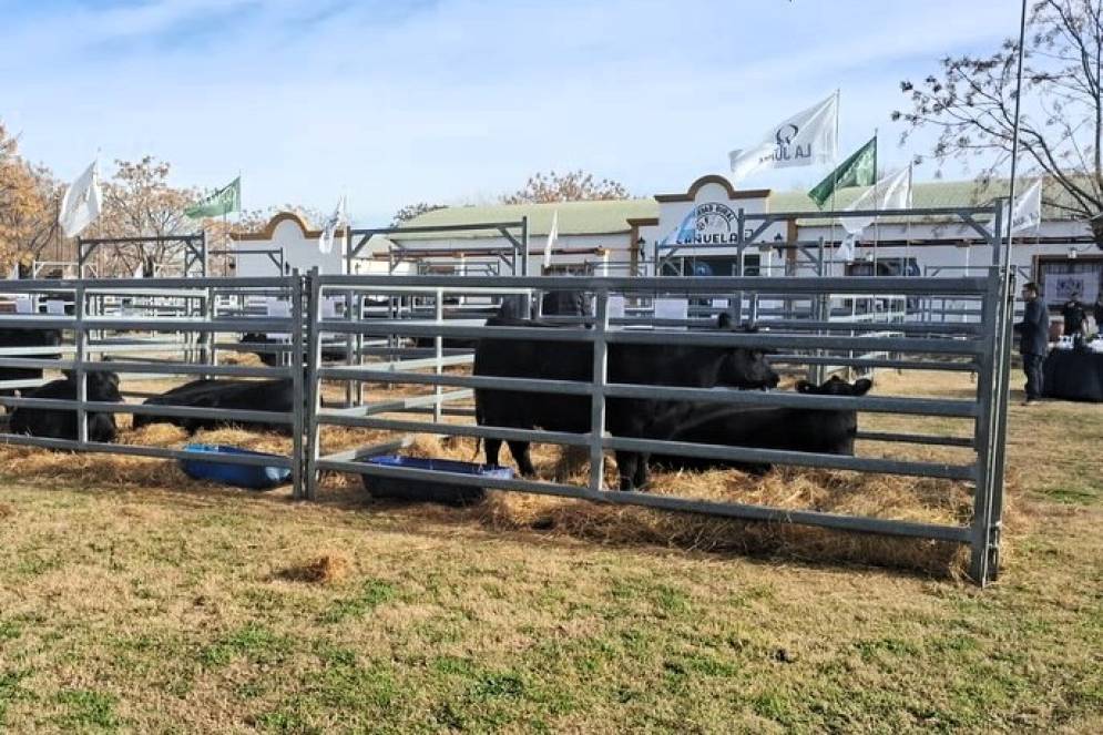 Habr&aacute; elecciones por primera vez en la SR de Ca&ntilde;uelas.
