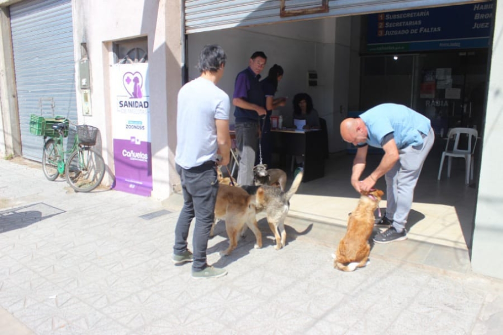 Se dan 150 dosis gratuitas por jornada. Es obligaci&oacute;n su aplicaci&oacute;n anual.