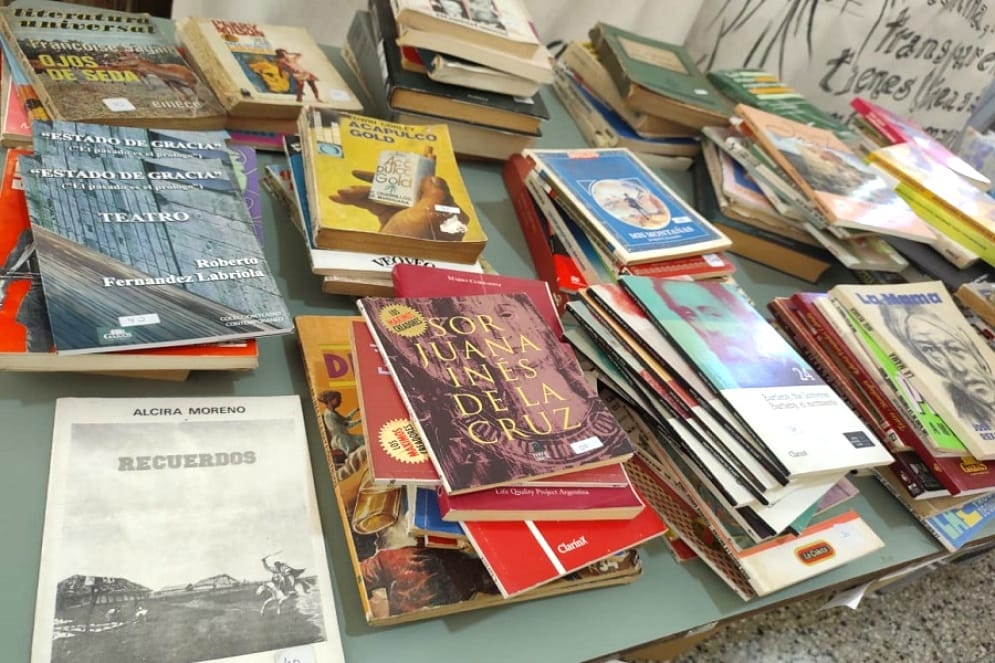 Biblioteca Domingo Faustino Sarmiento 