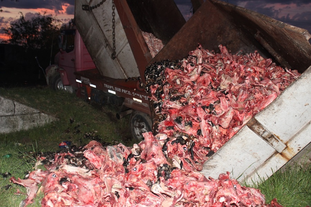  La carga del cami&oacute;n volcada tras el incidente.