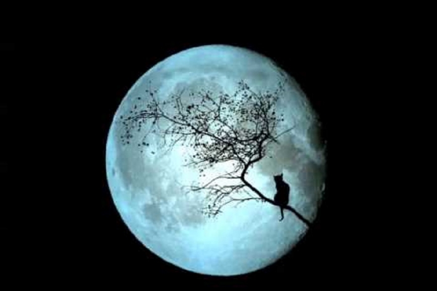 Hoy se realizar&aacute; el "2&deg; Encuentro M&aacute;gico de Yoga"