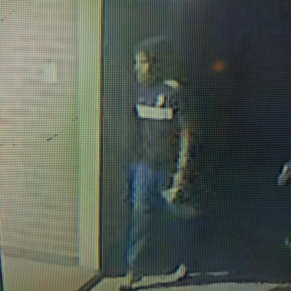 El delincuente capturado por las c&aacute;maras de seguridad.