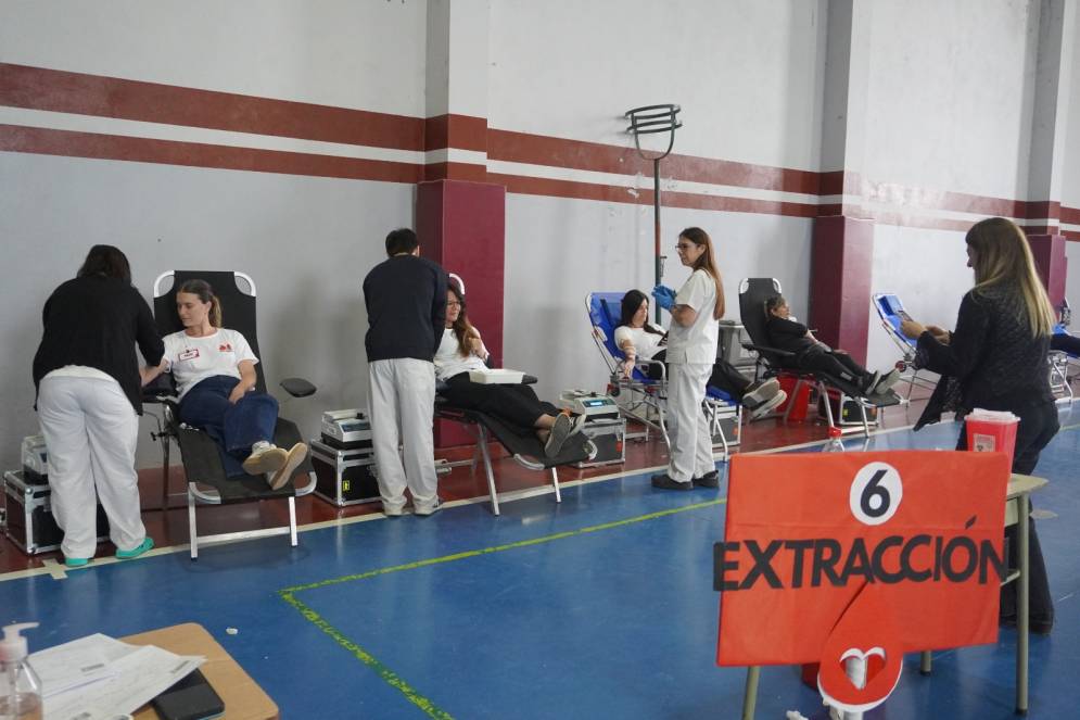 La actividad fue promovida desde la instituci&oacute;n&nbsp;educativa.