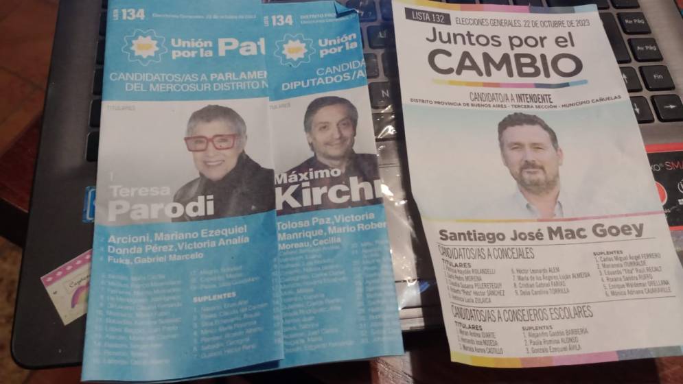 A la propuesta de delivery de boletas se le sum&oacute; la alternativa de opciones pol&iacute;ticas.