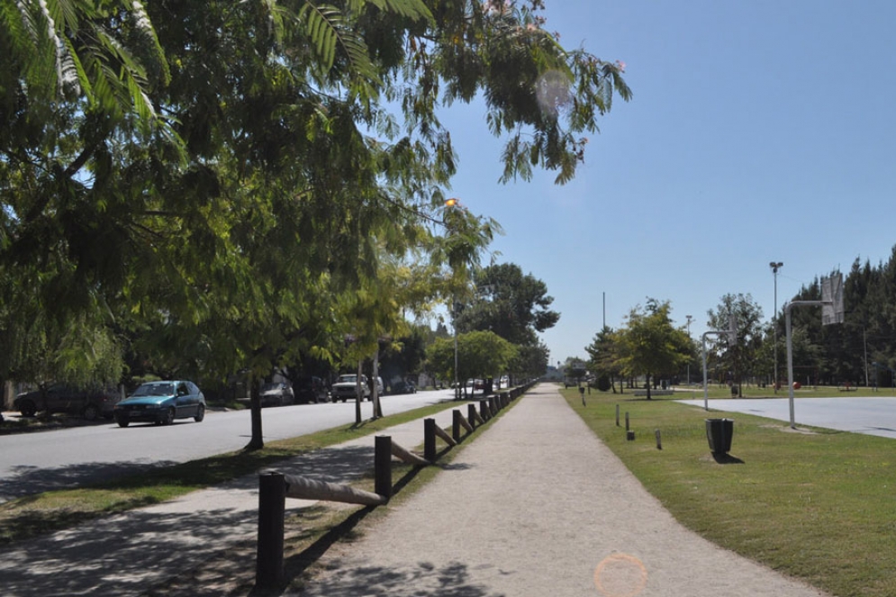 La zona de los cortes.