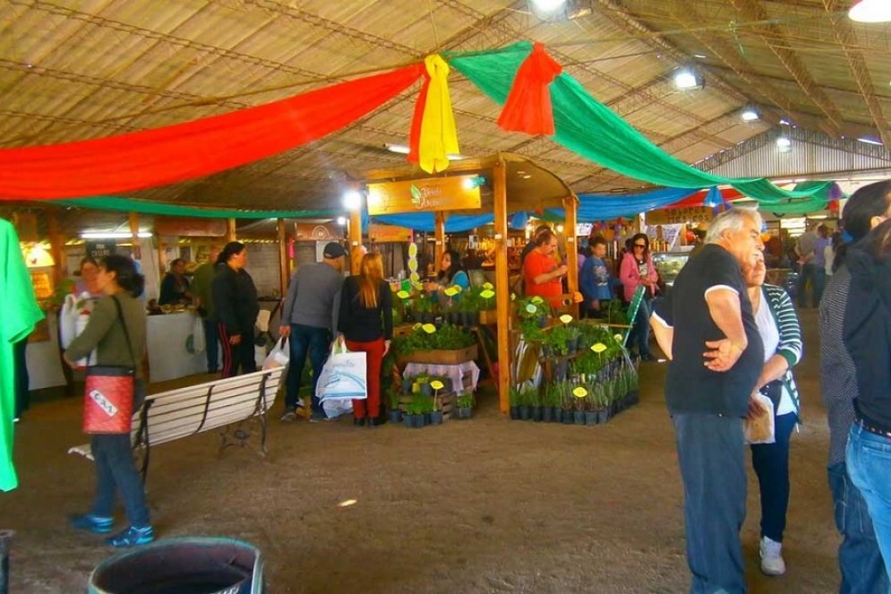 A la propuesta mensual de emprendedores locales se le suman n&uacute;meros art&iacute;sticos (Foto archivo).
