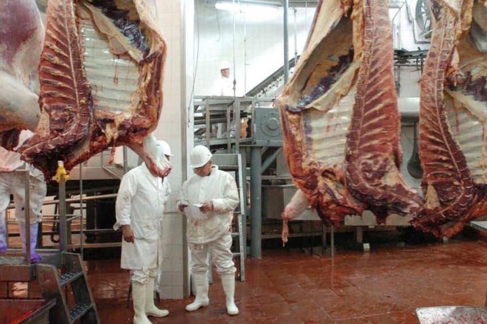 Por el momento, no est&aacute;n habilitados a faenar en la planta de M&aacute;ximo Paz.