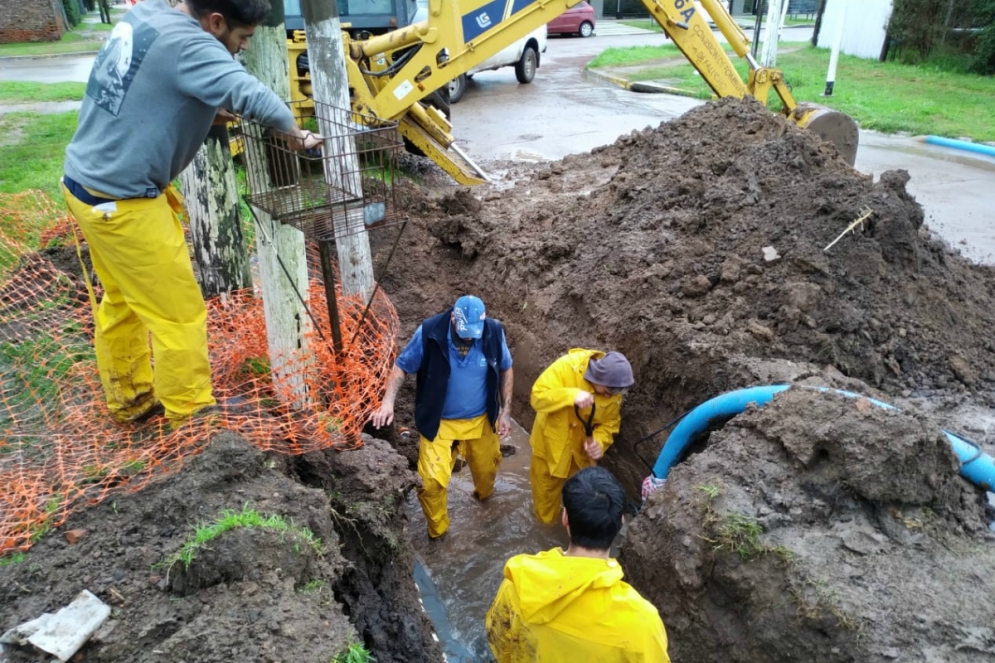 Los trabajadores de ABSA en acci&oacute;n.