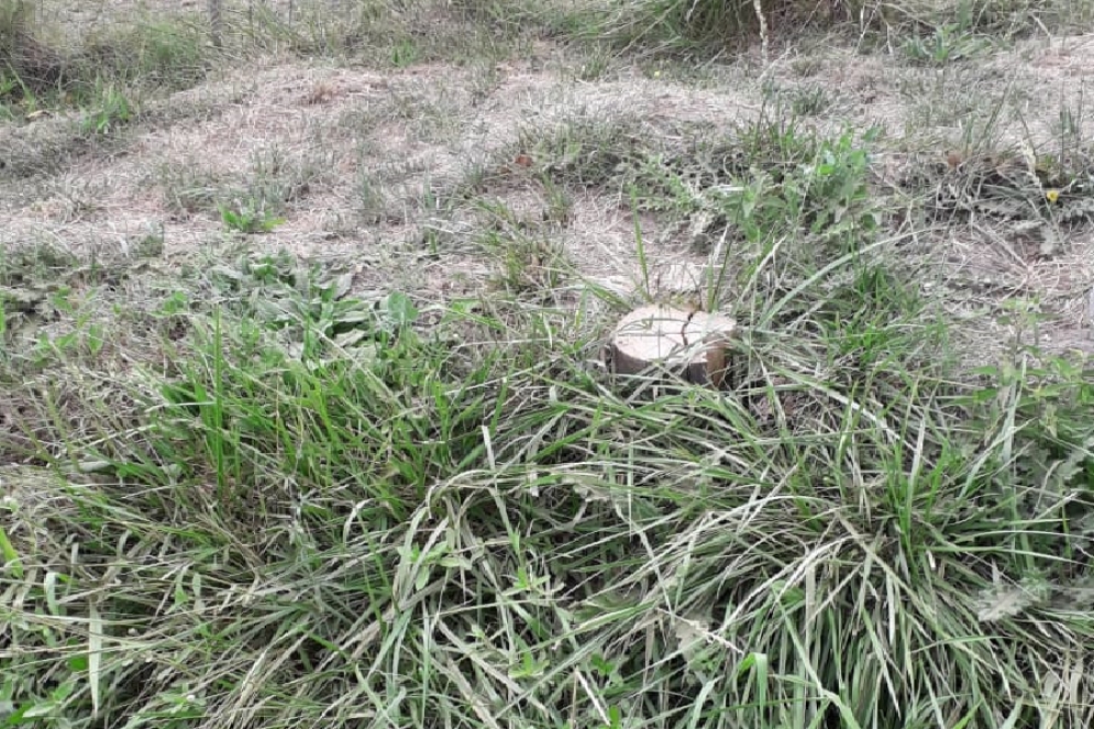 Con una motosierra derribaron dos postes y dejaron a m&aacute;s de 100 usuarios sin servicio de wifi