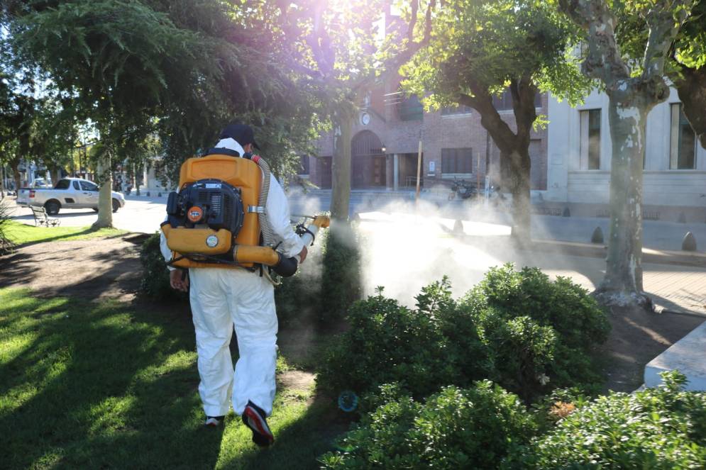 Se han llevado a cabo tareas de fumigaci&oacute;n diarias en diversos puntos del distrito.