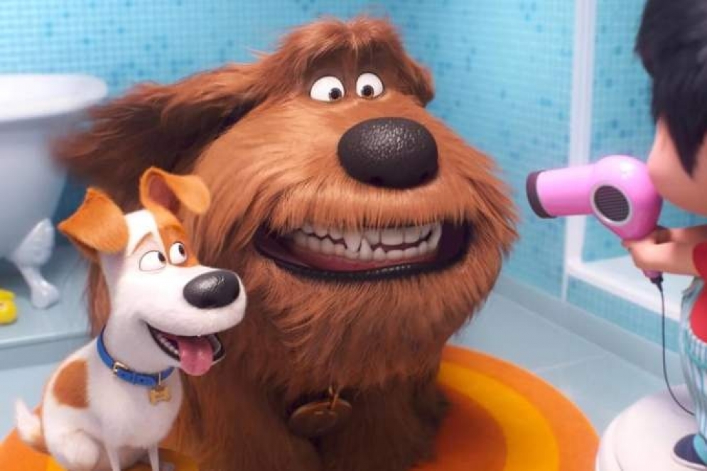 "La vida secreta de tus mascotas" se proyectar&aacute; el s&aacute;bado y lunes. 