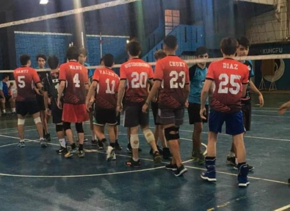 Li.Vo.Sur: cuatro alegr&iacute;as en la tira femenina