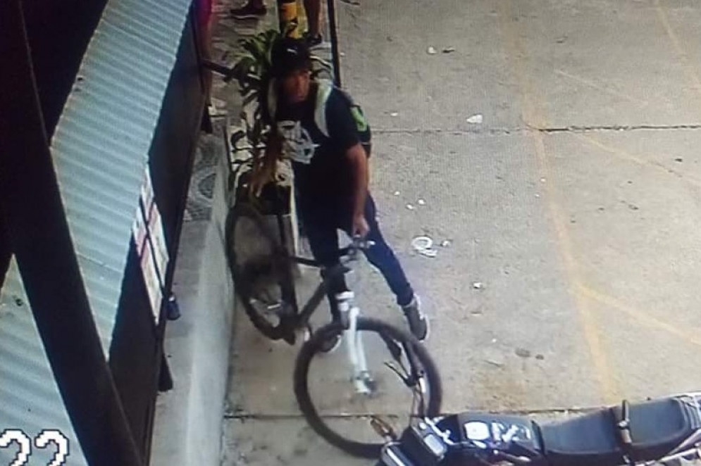 El ladr&oacute;n apoder&aacute;ndose de la Olmo blanca de Isaac.