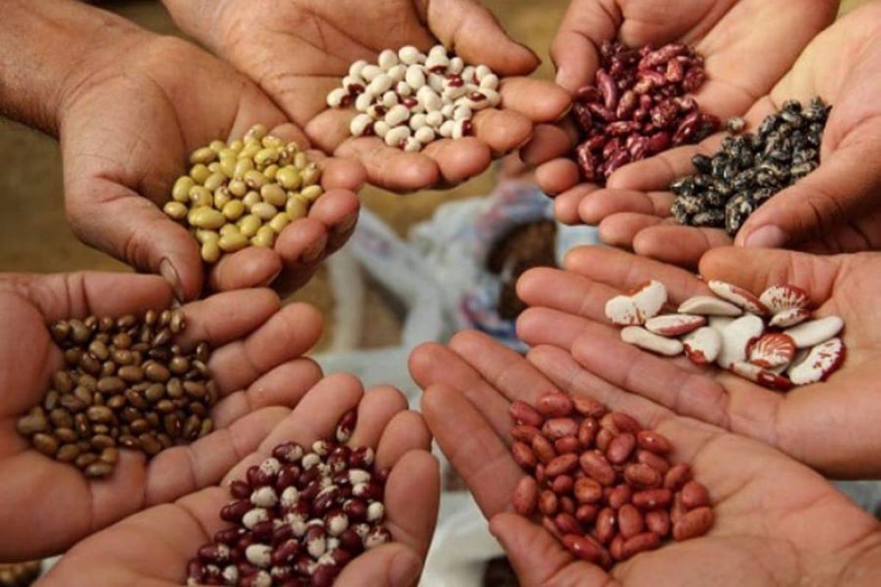 El "Apthapi" es una pr&aacute;ctica andina que no solo consiste en compartir el alimento entre todos, sino que es un espacio para pacificar y vivir en armon&iacute;a