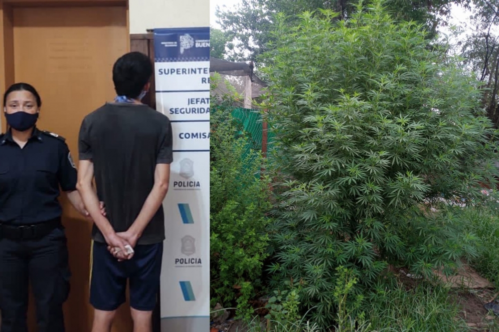 Reynoso y sus plantas.