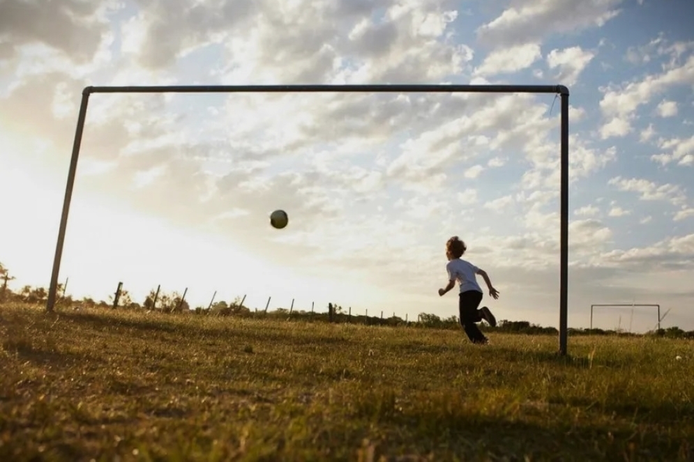 El nuevo loteo no alterar&iacute;a la fisonom&iacute;a del predio deportivo. 