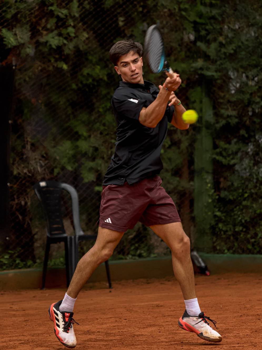 Ratti en acci&oacute;n.