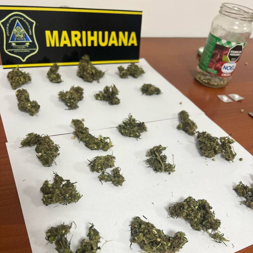 Los cogollos secuestrados por la Sub DDI Ca&ntilde;uelas.