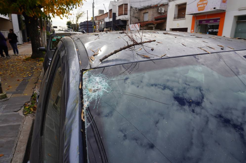 La rama da&ntilde;&oacute; la esquina del parabrisas.