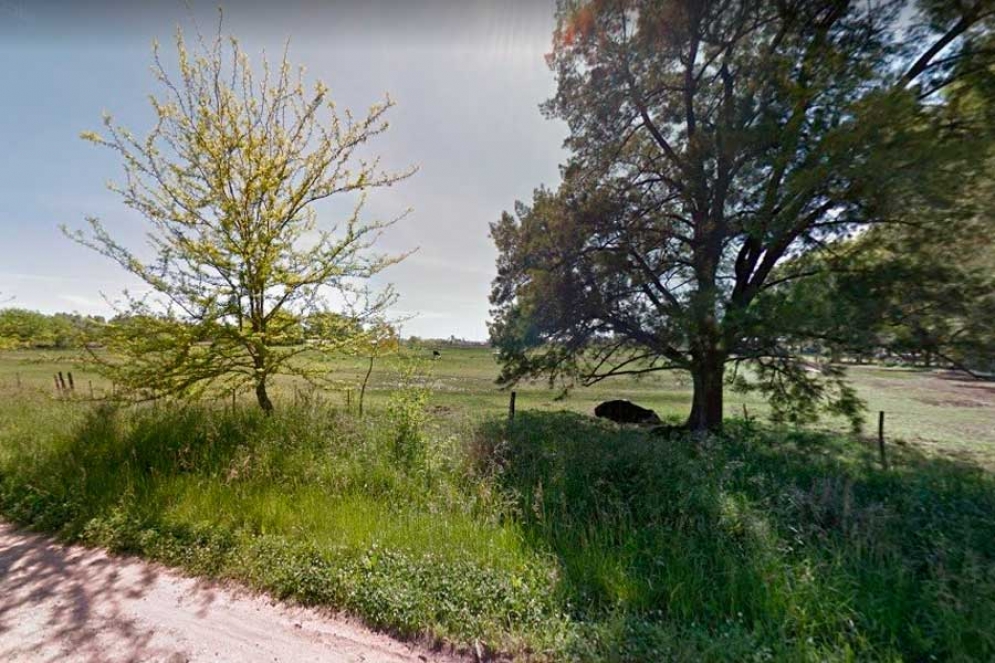 &ldquo;Queremos recuperar terrenos mal habidos para gente que lo necesite&rdquo;