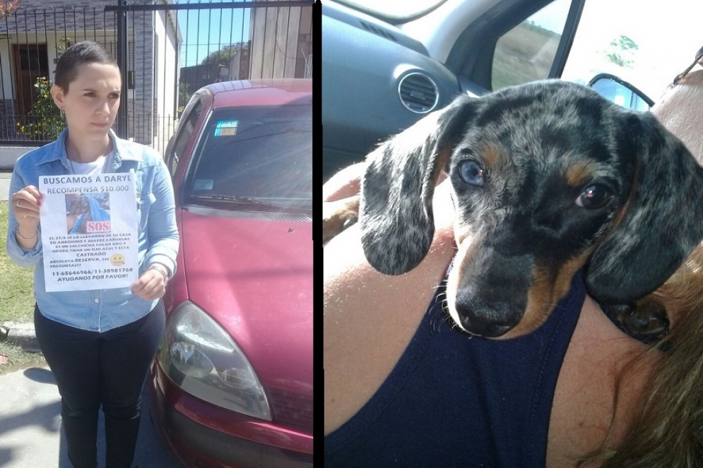 Le robaron su mascota y ofrece su auto como recompensa