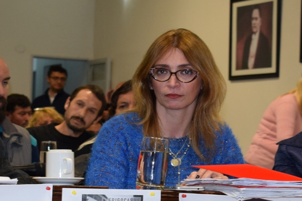 Romina Marques Ant&uacute;nes ser&aacute; la defensora del proyecto por el lado del oficialismo. 