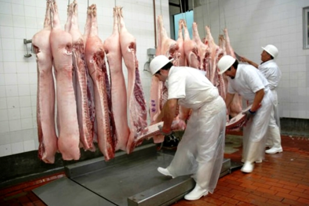 Comenzaron las tareas de remoci&oacute;n en la planta de Las Heras.