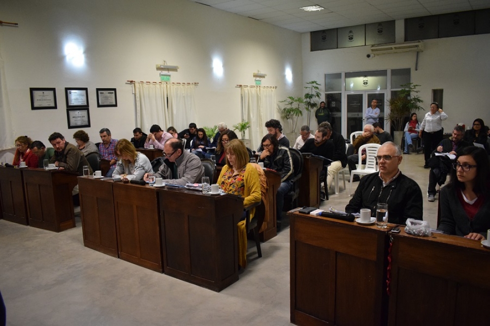 Octava Sesi&oacute;n en el HCD